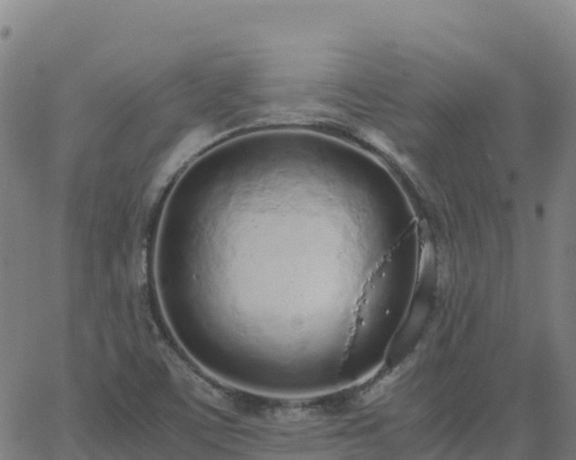 X0000062671459200512230934