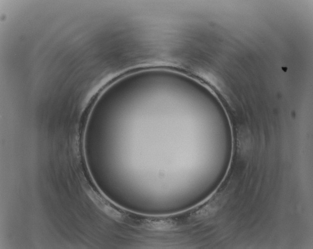 X0000062671460200512230934