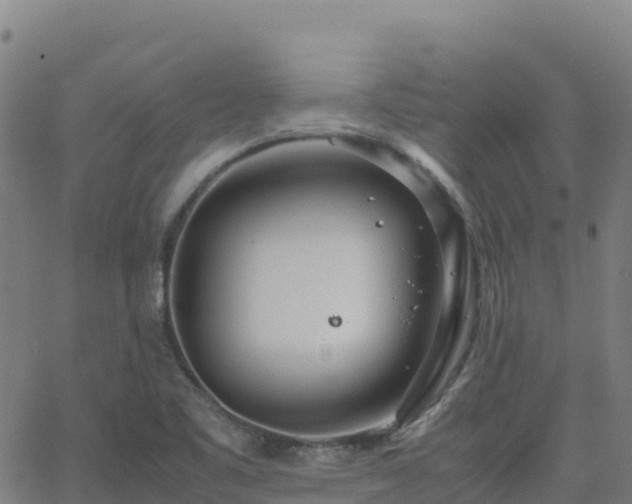 X0000062671461200512230934