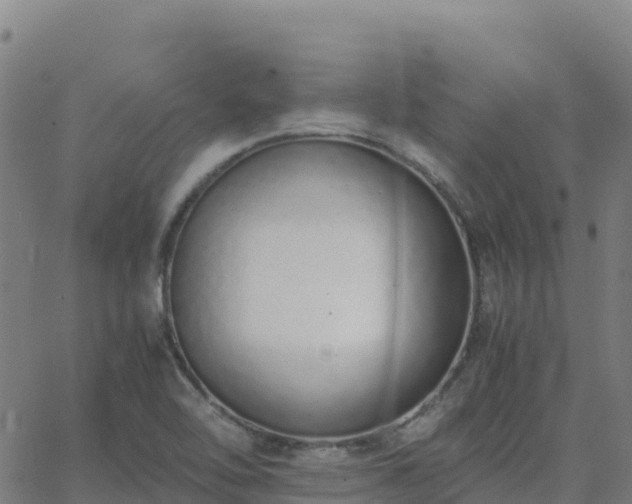 X0000062671462200512230934