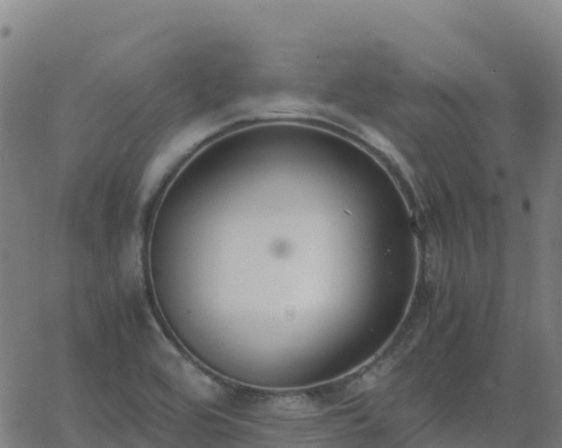 X0000062671464200512230934