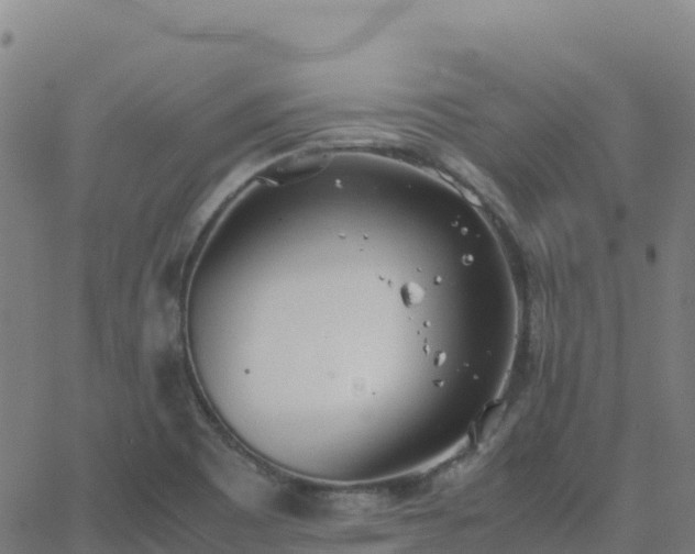 X0000062671465200512230934