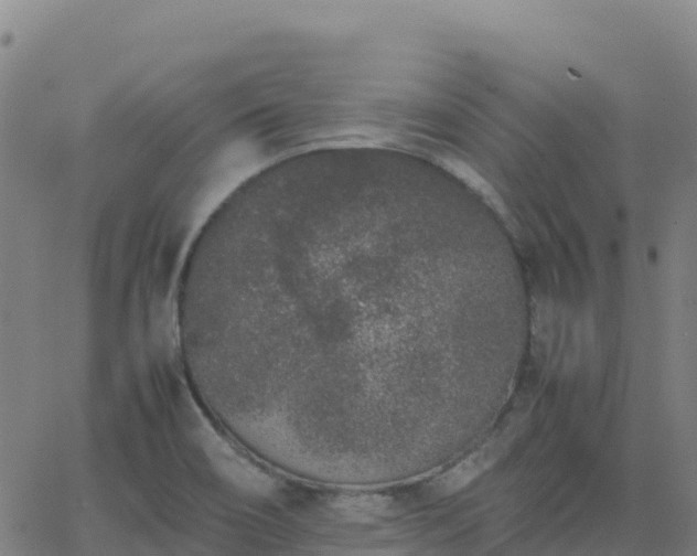 X0000062671466200512230934