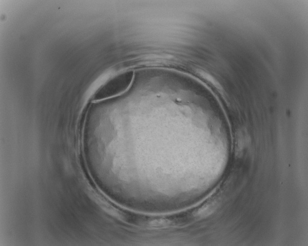 X0000062671467200512230934