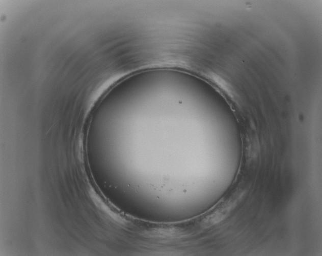 X0000062671468200512230934