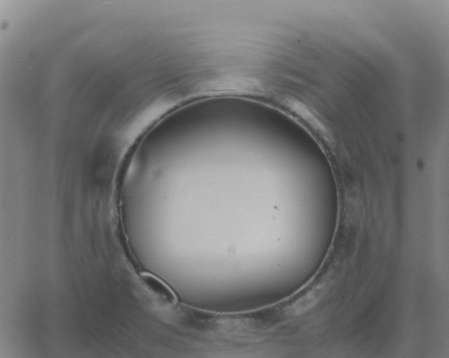 X0000062671469200512230934