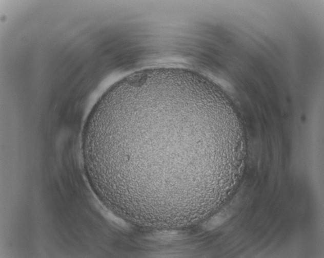 X0000062671470200512230934