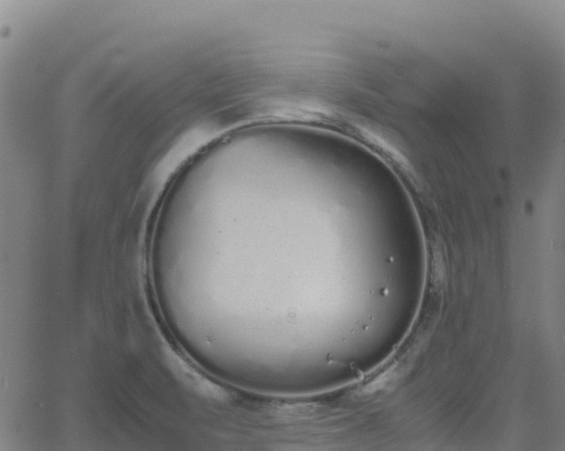 X0000062671471200512230934