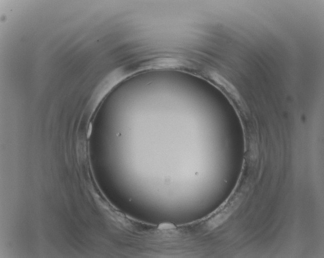 X0000062671473200512230934