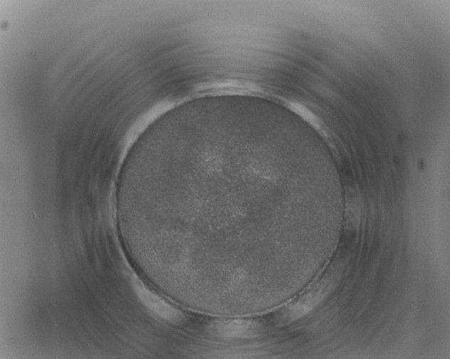 X0000062671474200512230934