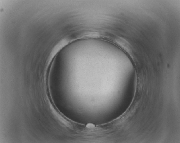 X0000062671475200512230934