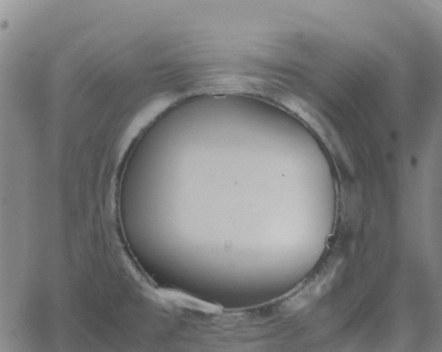 X0000062671477200512230934