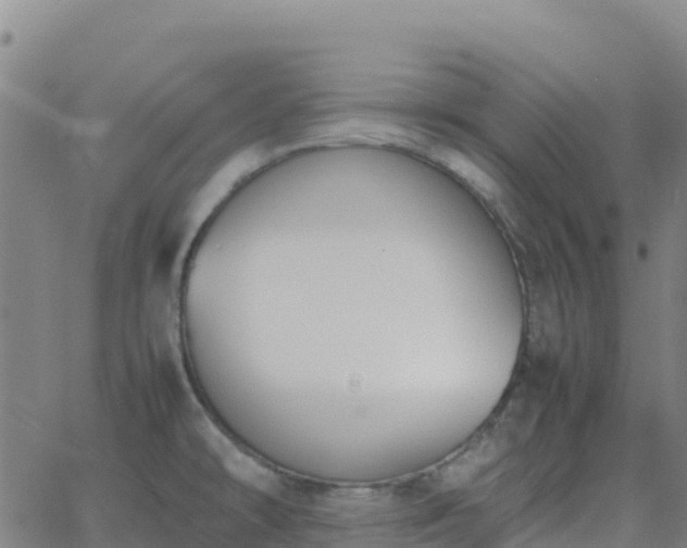 X0000062671478200512230934