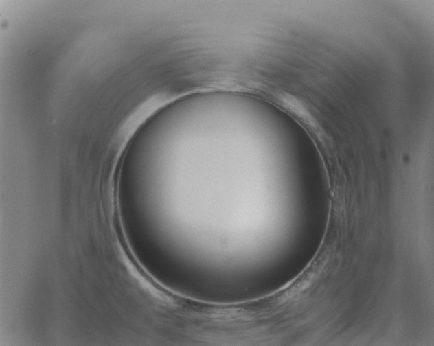 X0000062671479200512230934