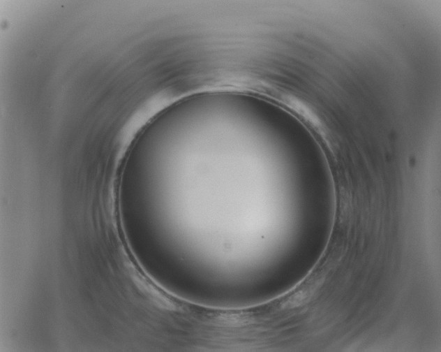 X0000062671480200512230934