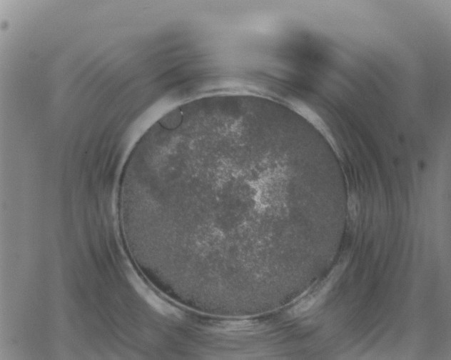 X0000062671482200512230934