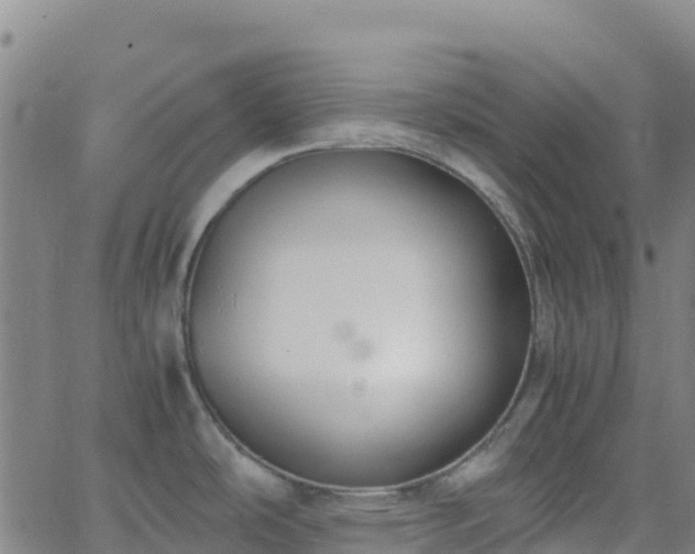 X0000062671486200512230934