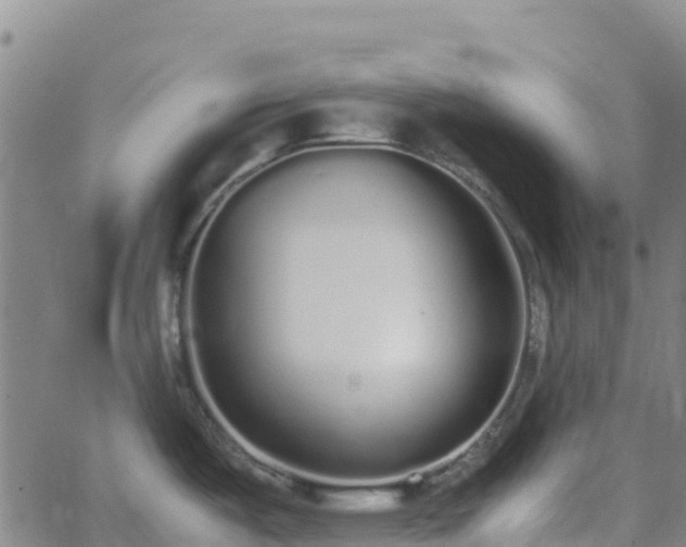 X0000062671487200512230934