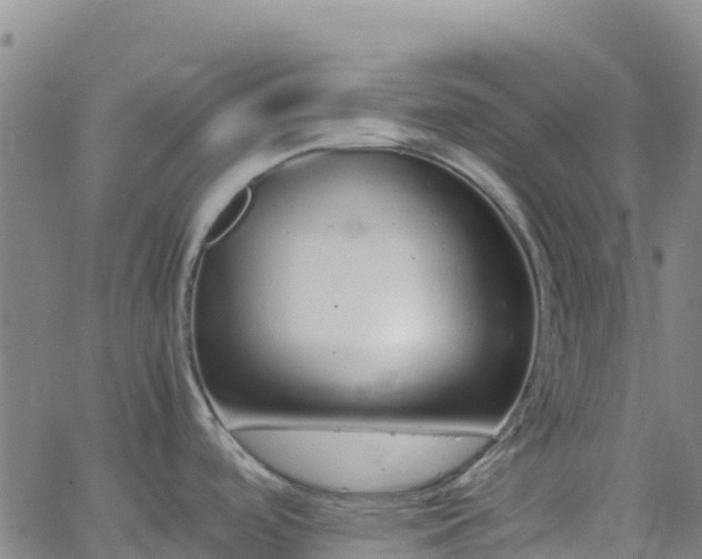 X0000062671488200512230934