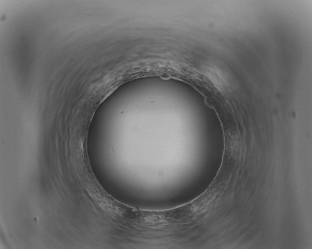 X0000062671489200512230933