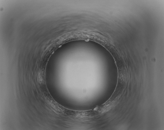 X0000062671490200512230933