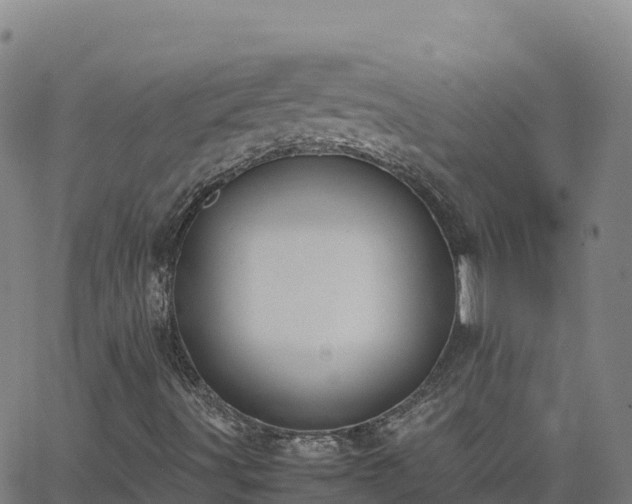 X0000062671491200512230933