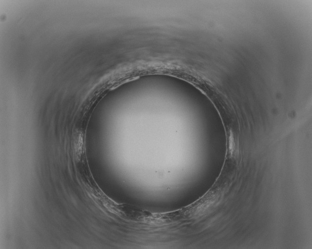 X0000062671492200512230933