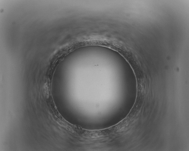 X0000062671493200512230933