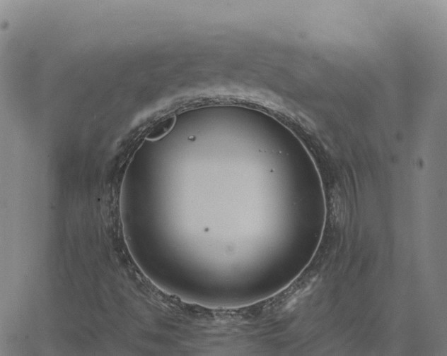 X0000062671494200512230933