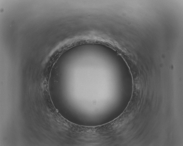 X0000062671495200512230933