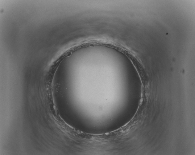 X0000062671496200512230933