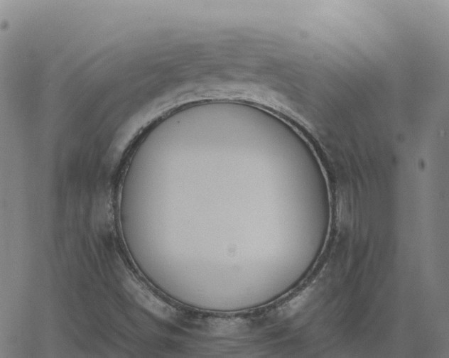 X0000062671498200512230933