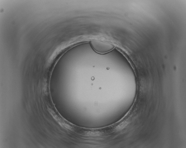 X0000062671499200512230933