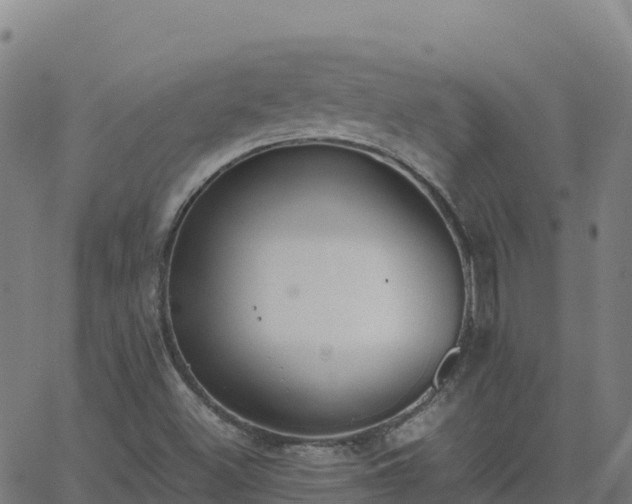 X0000062671500200512230933