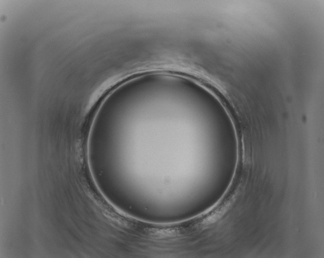 X0000062671501200512230933