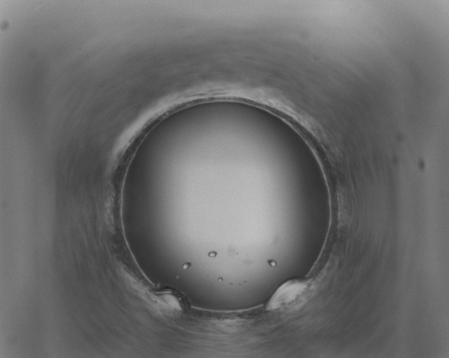 X0000062671502200512230933