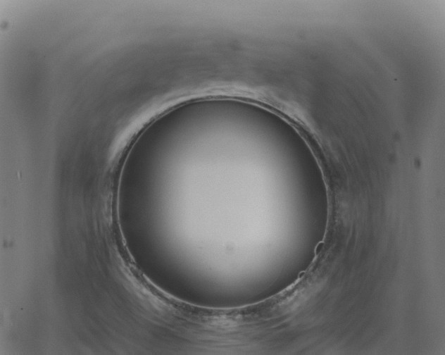 X0000062671504200512230933