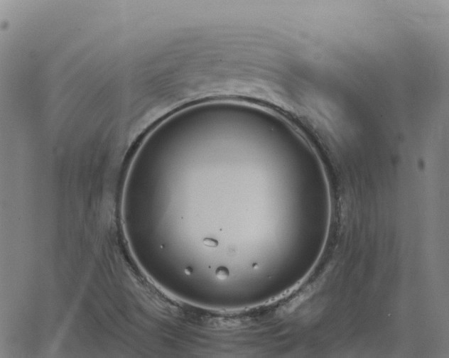 X0000062671505200512230933