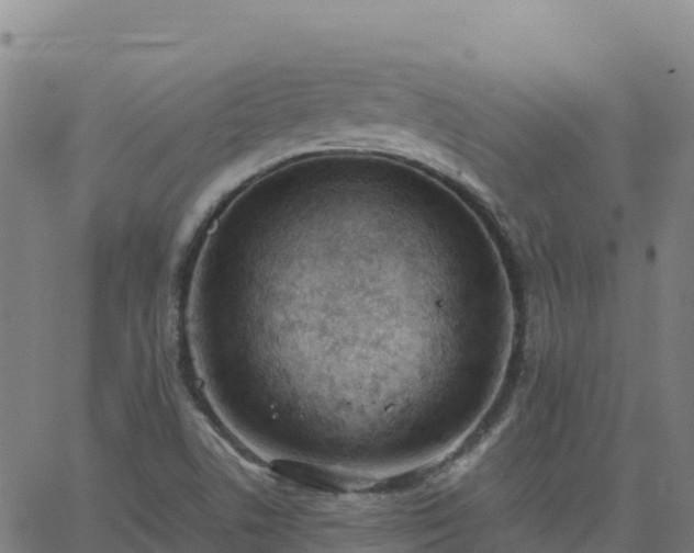 X0000062671506200512230933