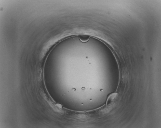 X0000062671507200512230933