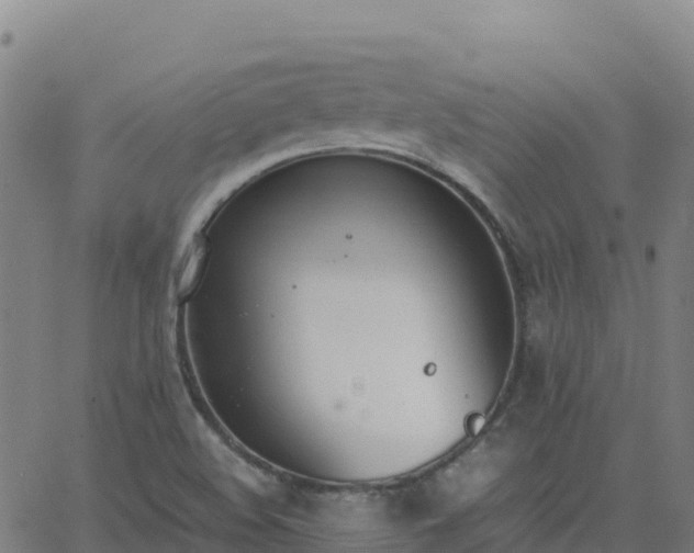 X0000062671508200512230933