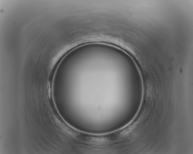 X0000062671509200512230933