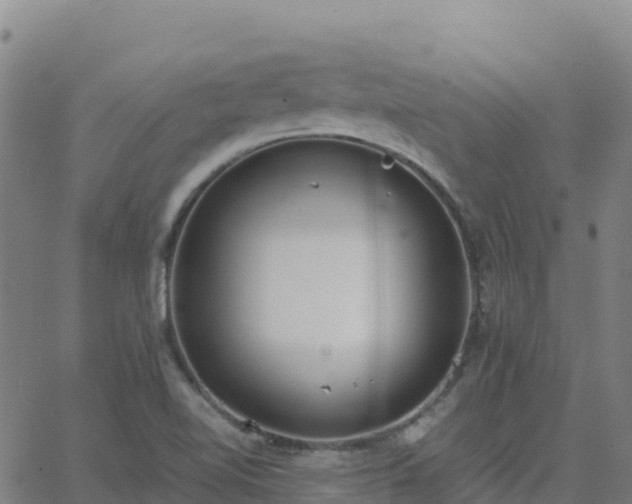 X0000062671510200512230933