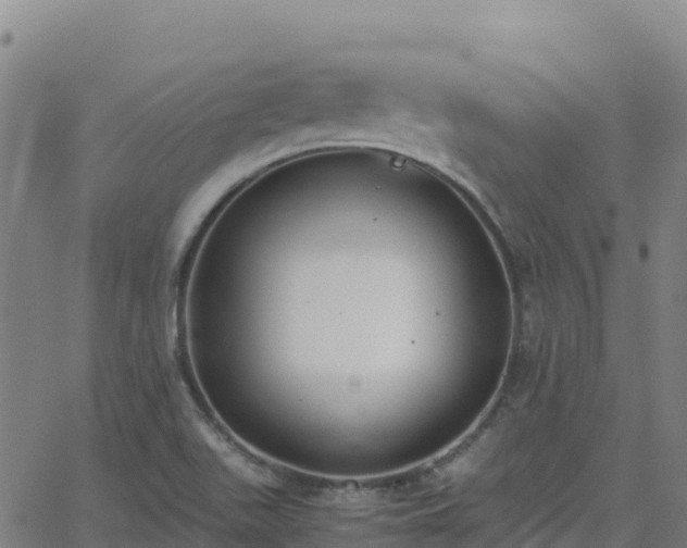 X0000062671511200512230933