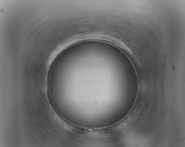 X0000062671512200512230933