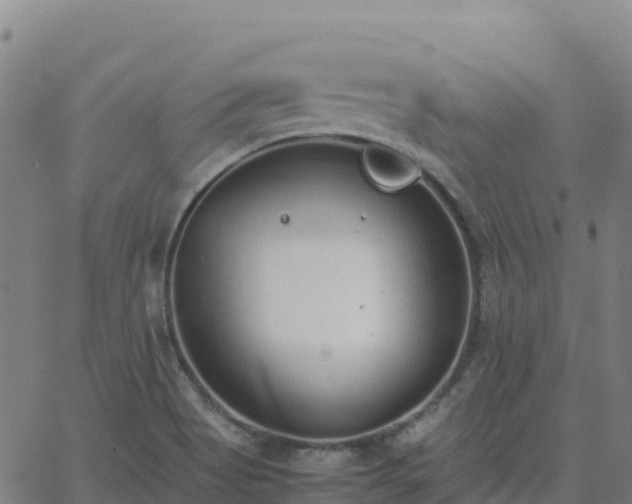 X0000062671513200512230933