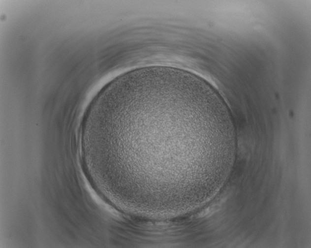 X0000062671515200512230933