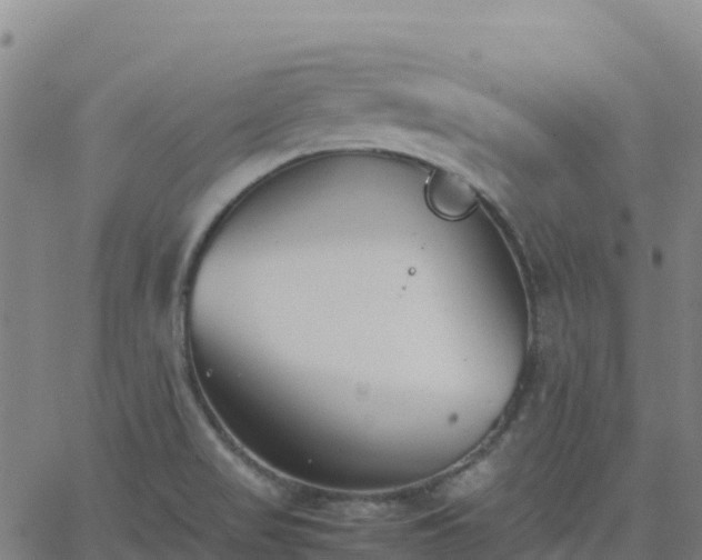 X0000062671517200512230933