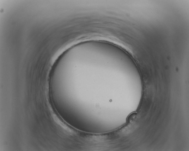 X0000062671518200512230933