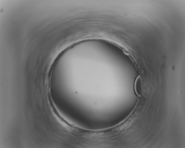 X0000062671519200512230933